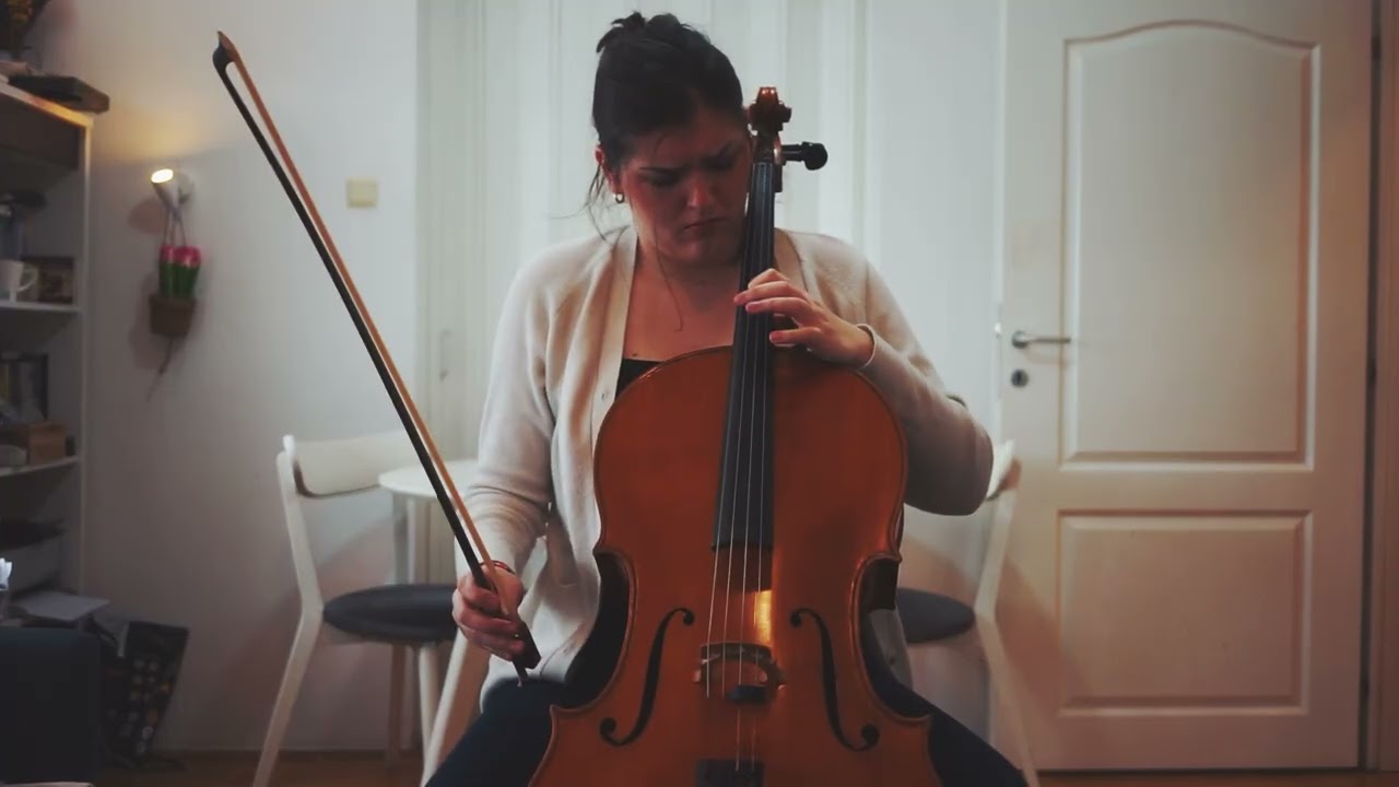 Dejan Despic: Monolog