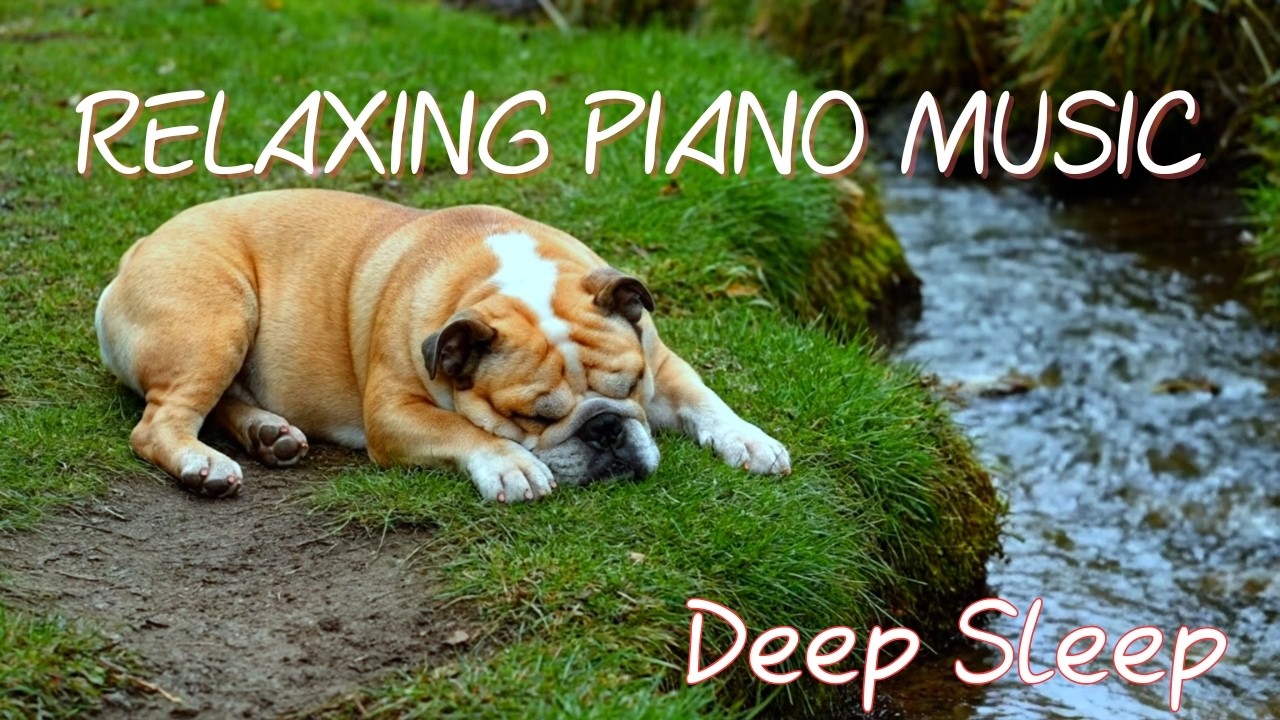 Deep Sleep Music Peaceful Piano and Flowing Water Sounds