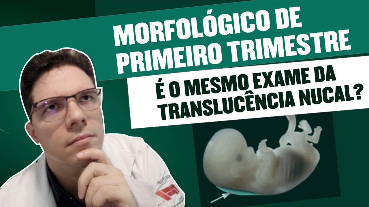 ULTRASSOM MORFOLOGICO DE PRIMEIRO TRIMESTRE É O MESMO EXAME DA TRANSLUCÊNCIA NUCAL?