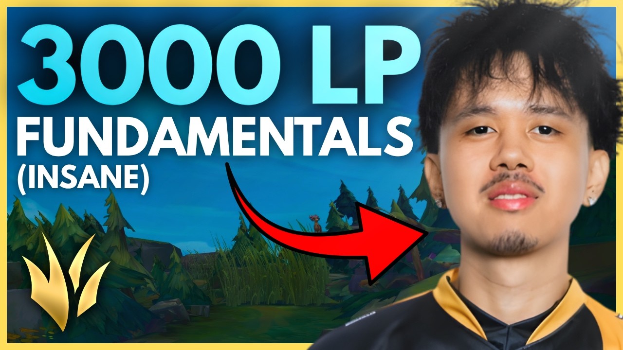 What 3000LP Jungle Fundamentals Actually Look Like &mdash; Educational Review