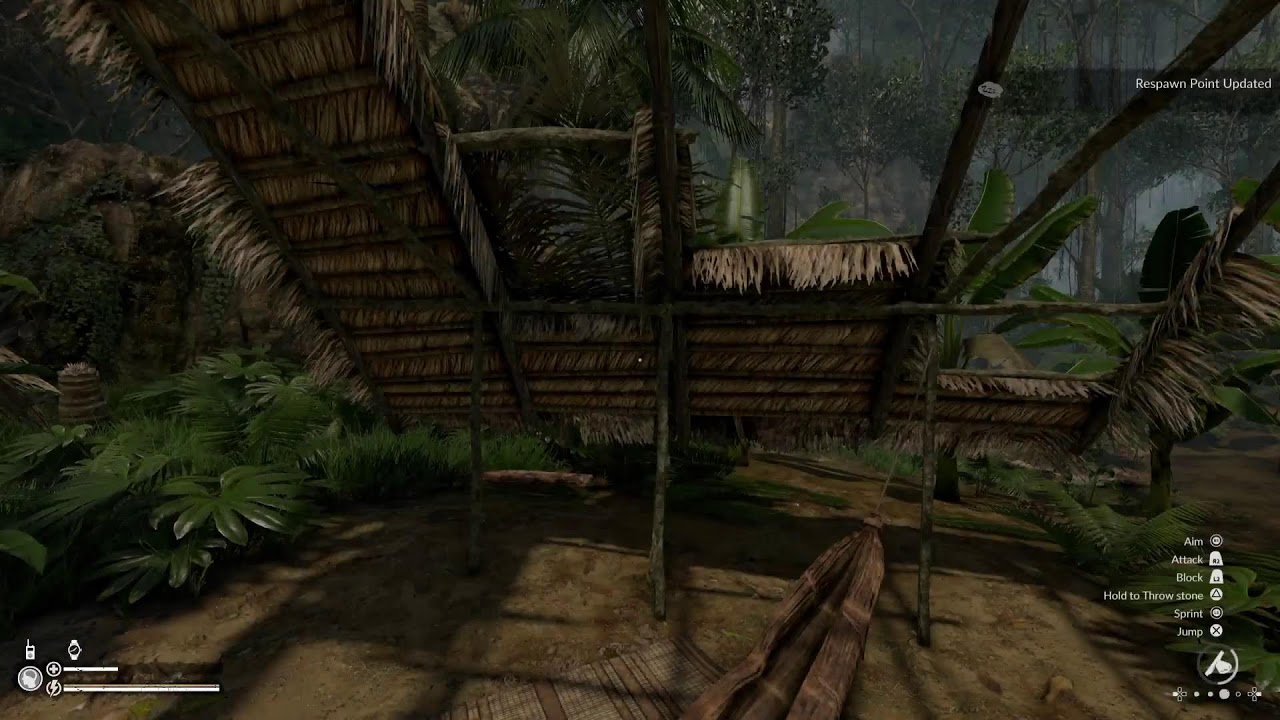 Green Hell: Two Dudes In A Jungle