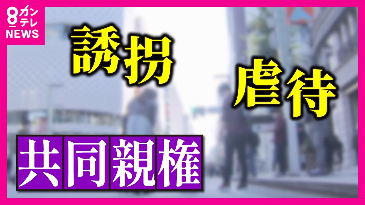 【共同親権に賛否】離婚後も子どもの養育は共同で…審議の行方は　親権を奪い合うから連れ去りも起きる？　DVや虐待のリスクを家庭裁判所が見抜けるかどうかが課題に〈カンテレNEWS〉