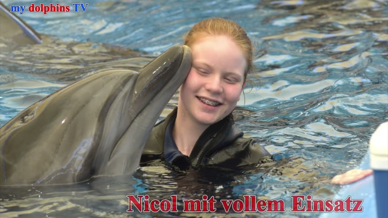 Lea`s erste Delfin unterstützte Therapie Foto Schlussvideo