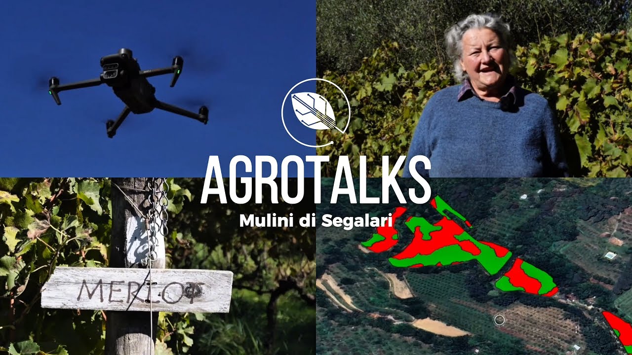 Agrotalks - Mulini di Segalari