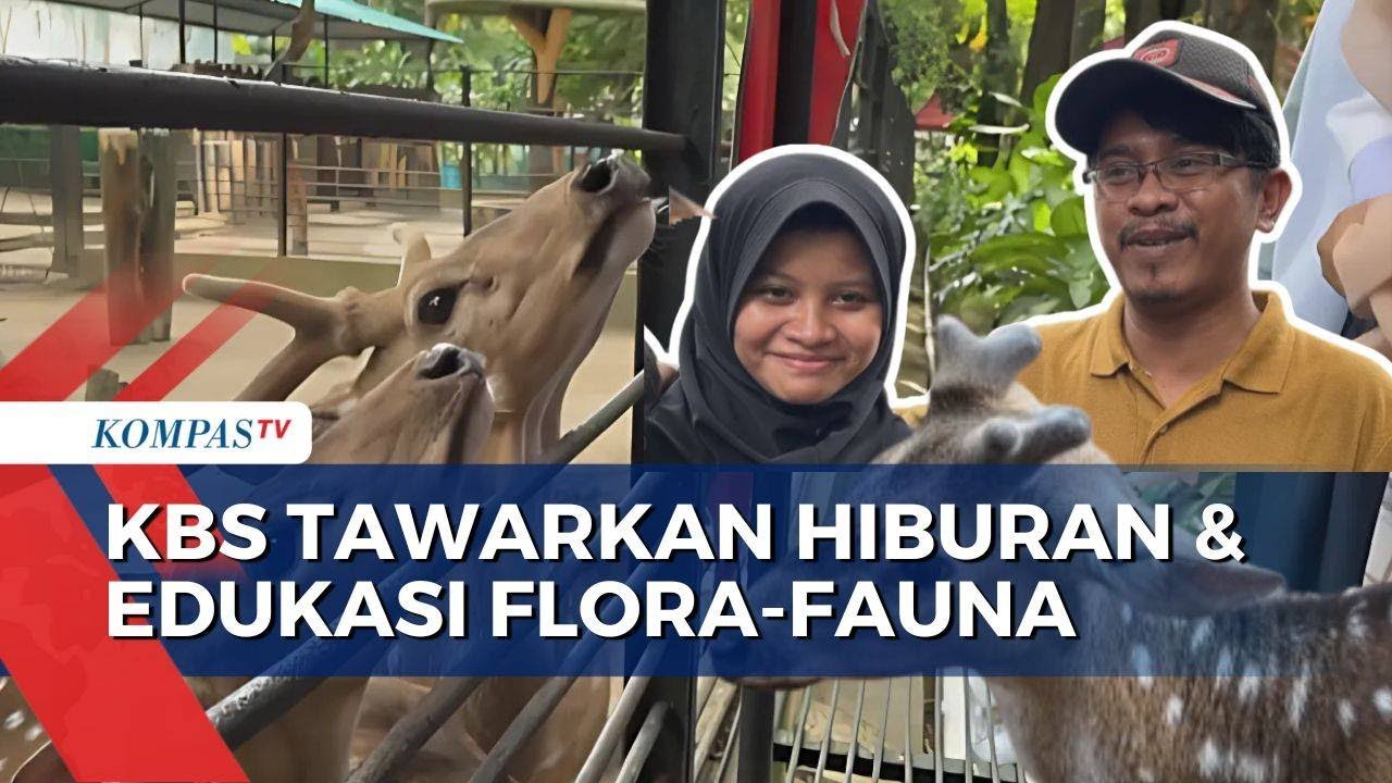 Antusias Warga Tinggi, Kebun Binatang Surabaya Buka 12 Loket Hindari Antrean Libur Panjang