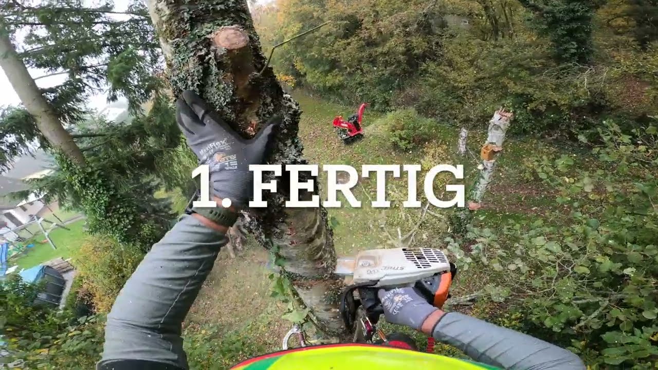 4 Bäume, 2 Personen, ein Tag  Steigeisen SKT
