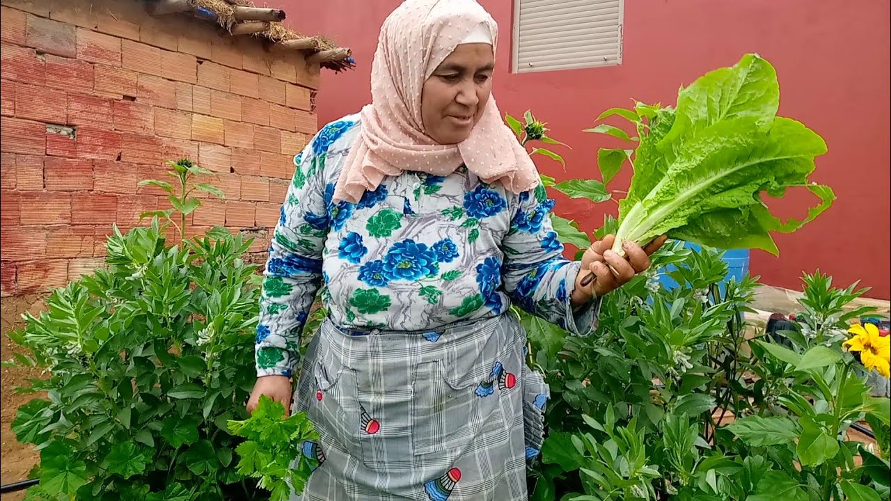 مي كبير  ذخلوت يجنيو الخضرة من جريدة😨🥰😂