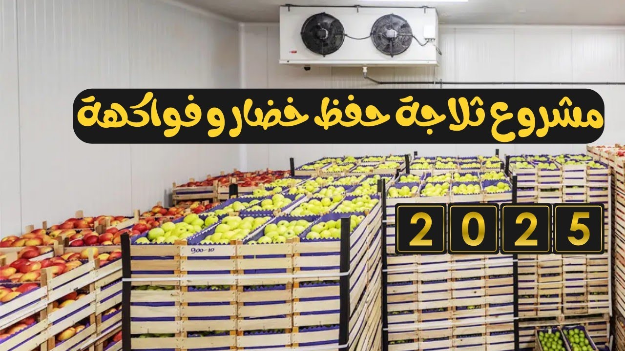 مشروع ثلاجة خضروات وفواكه – أفضل طريقة لحفظ الفواكه والخضروات لفترة أطول