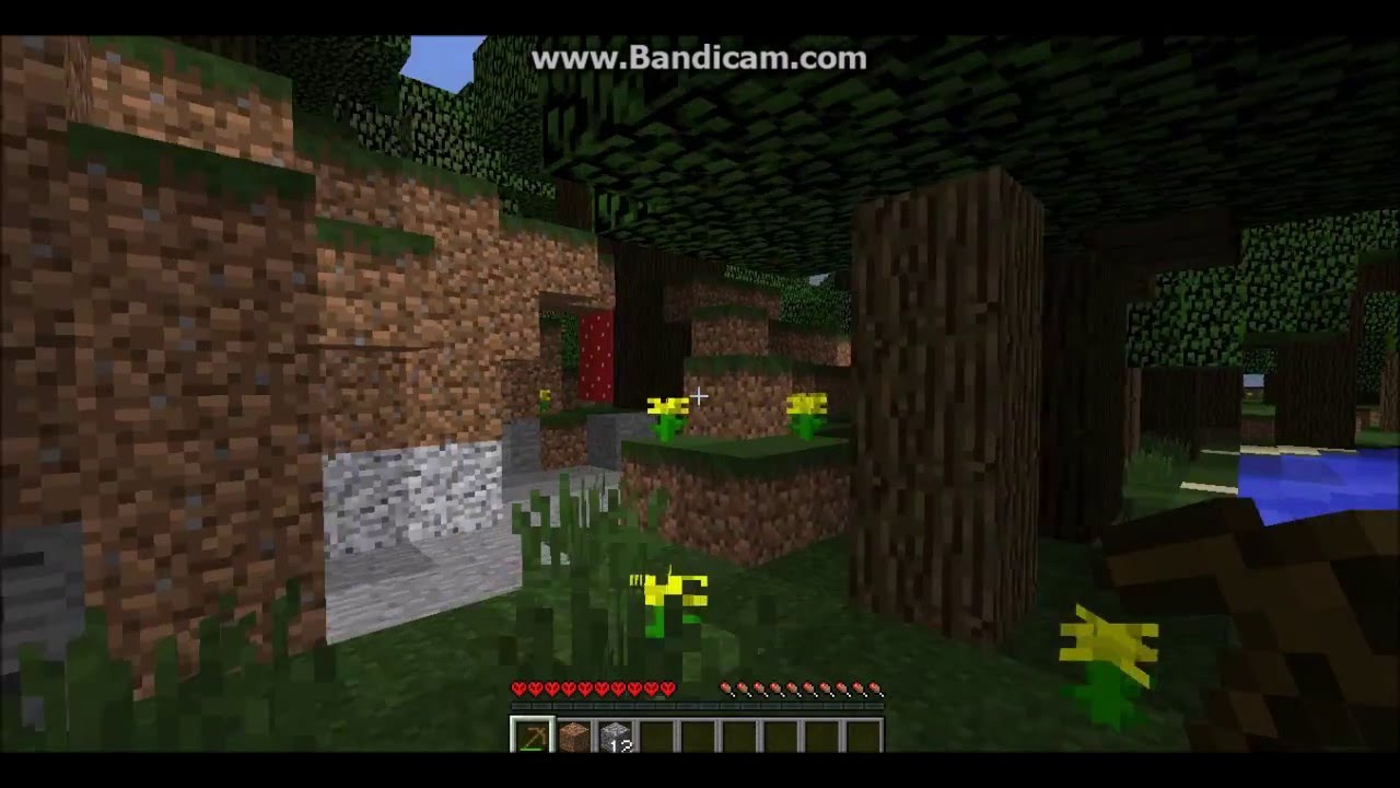 Minecraft Hardcore e Elitra