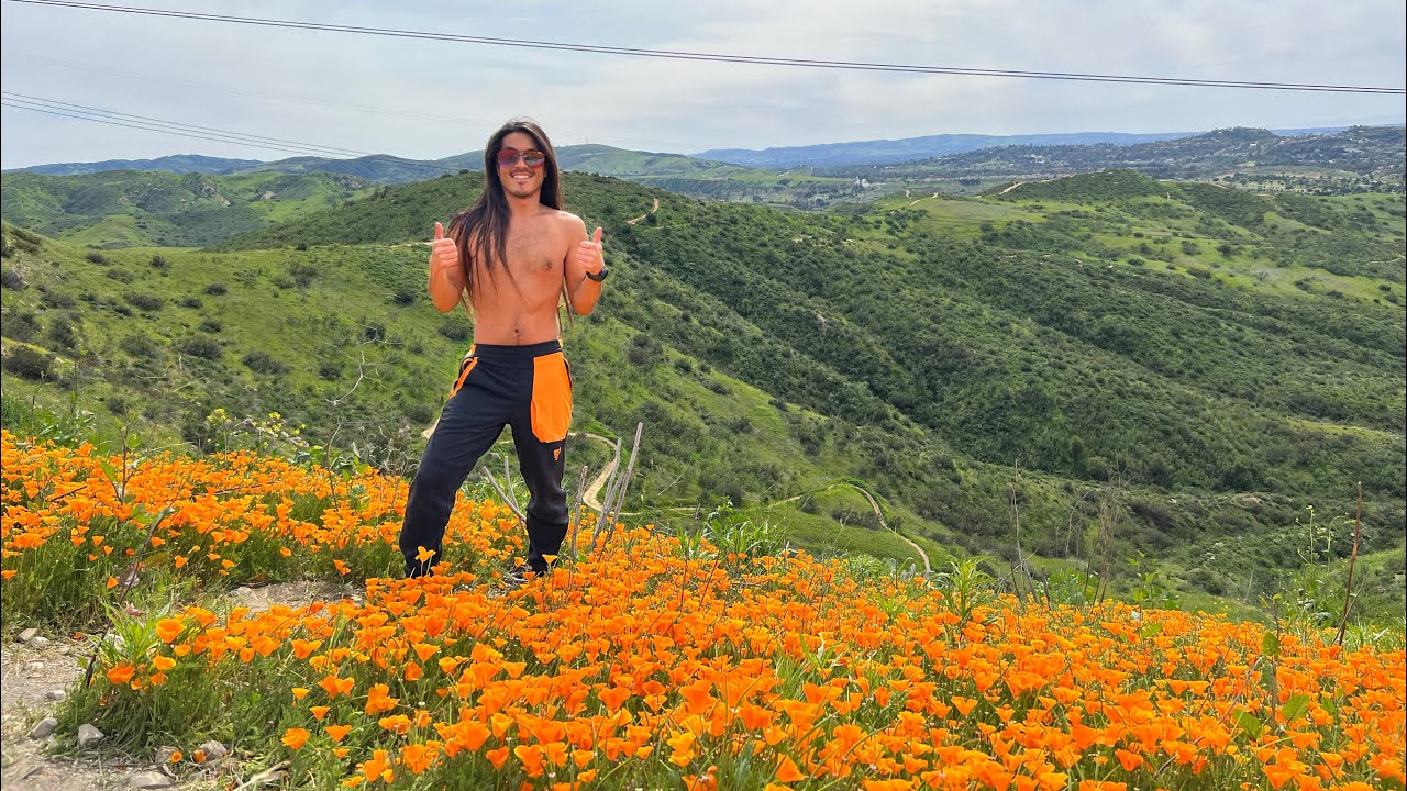 We found California poppy flowers!! #hike #adventure #orangecounty #poppyflower #kunivisions