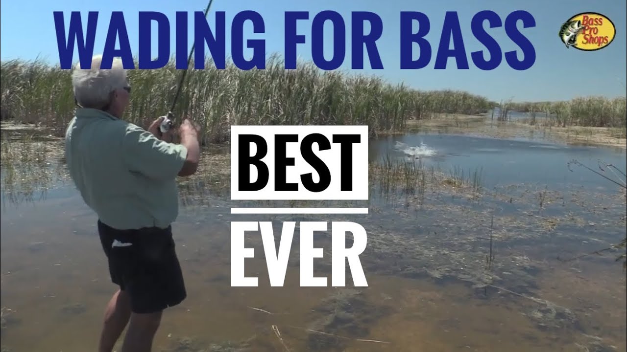 Best Day ever, Wading for big Bass!