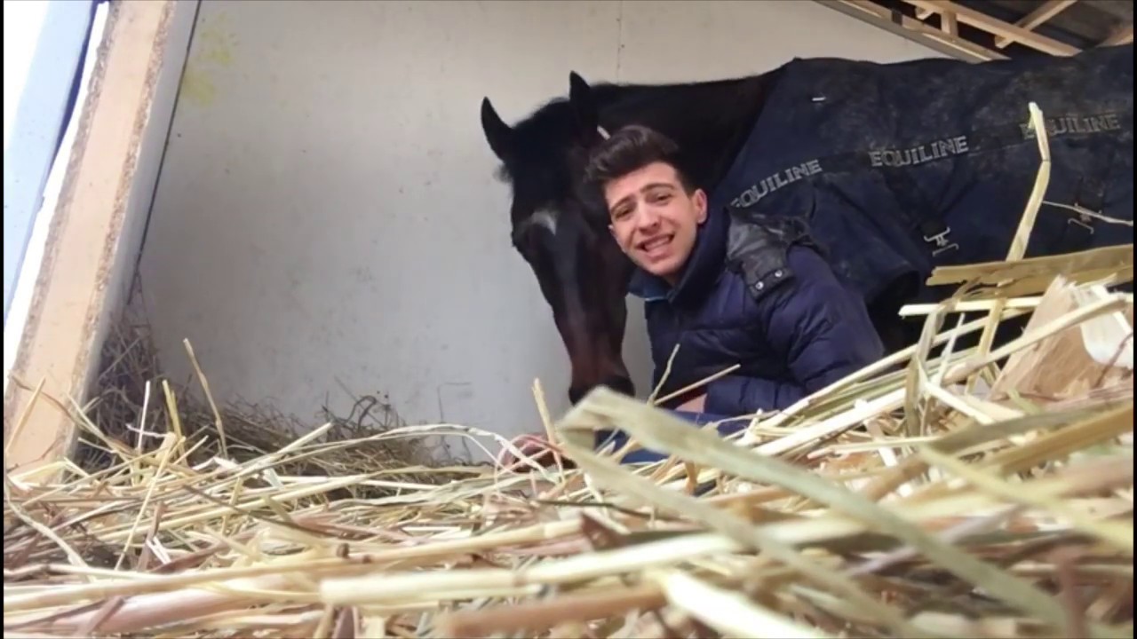 Come Gestisco Il Mio Cavallo a Casa 🏠🐴🐎❤️💪🏼🔝😘