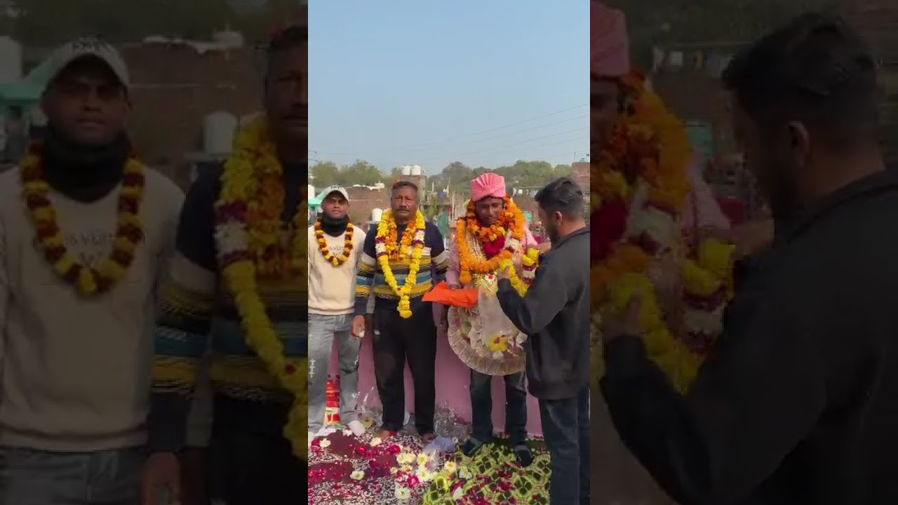 Ustad viru ji ke kabootar 13 minute lapata Malka ganj se #viral #pigeon #delhi #kabootarbazi 