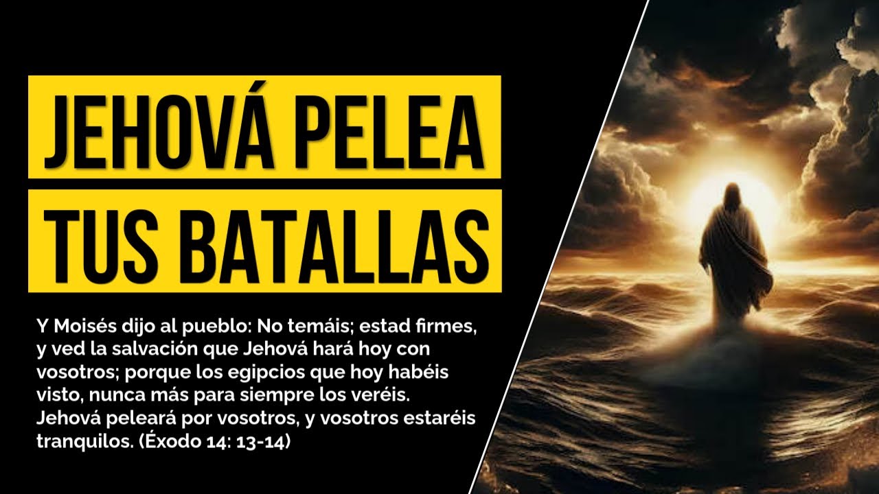 ¡No luches más! 😱 Jehová ya está peleando por ti ⚔️✨