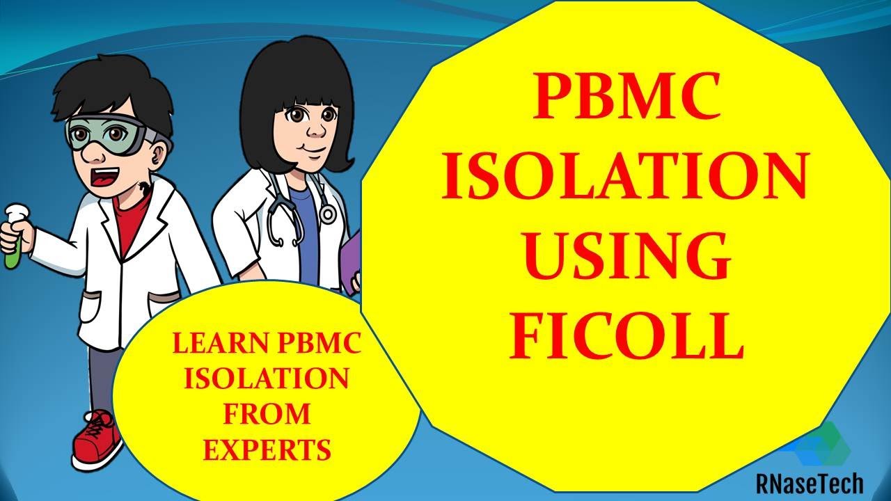 How to isolate PBMC from human blood || Tips for isolating PBMC || PBMC isolation using FICOLL