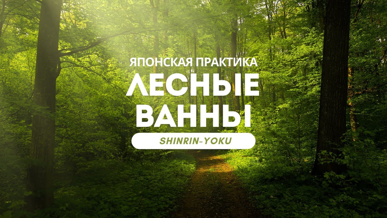 ЛЕСНЫЕ ВАННЫ. Японская практика расслабления. SHINRIN YOKU