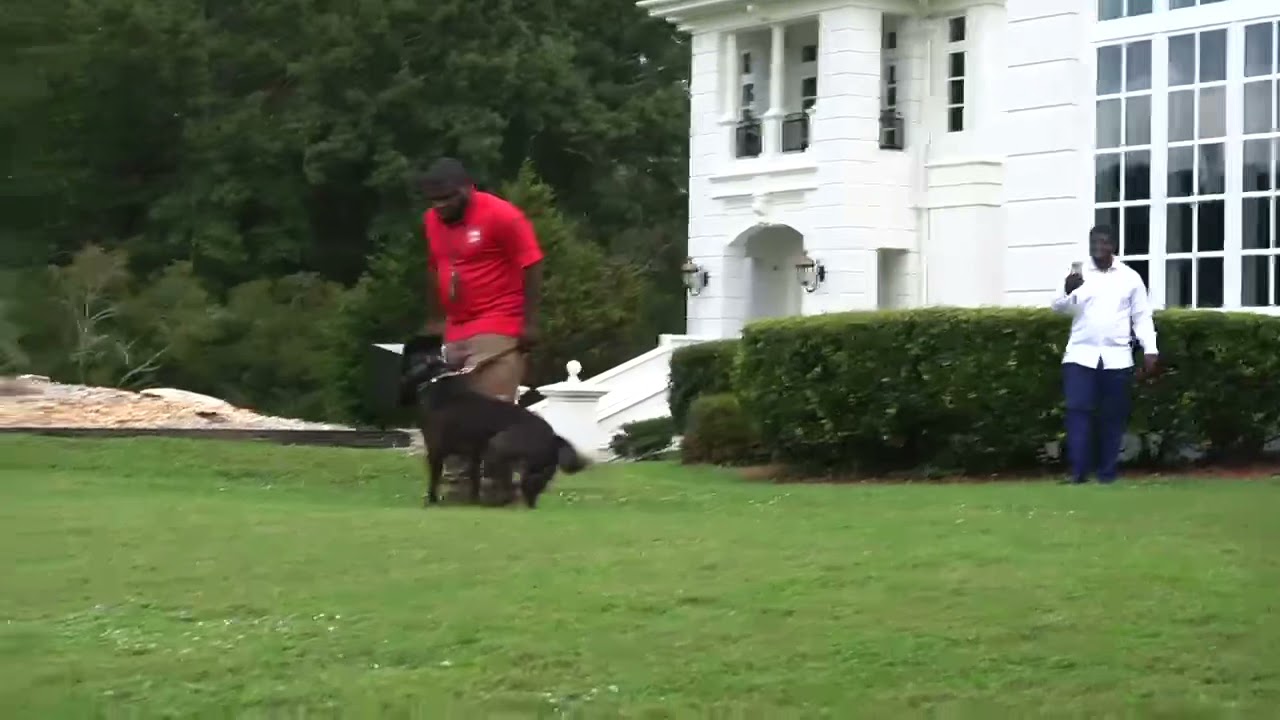 K9 Demo at Rick Ross Promise Land