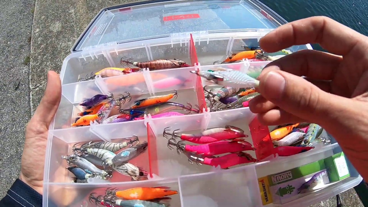 Pesca de Chipirones en Verano / Consejos de pesca
