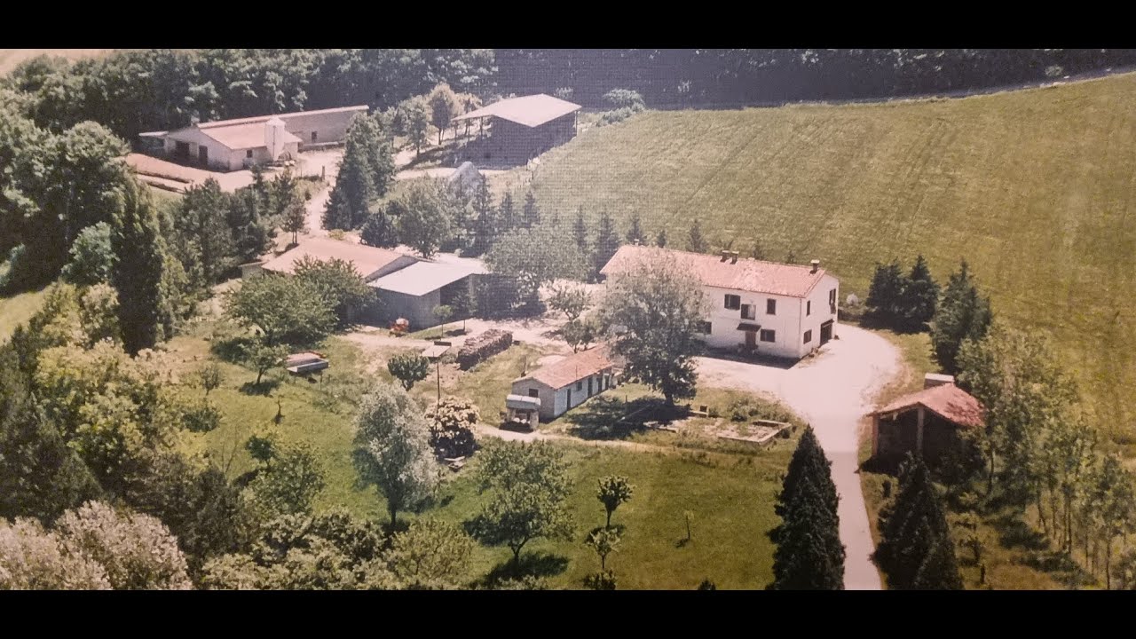 VENDITA AZIENDA AGRARIA ECOLOGICA 96 ETTARI DI TERRENO