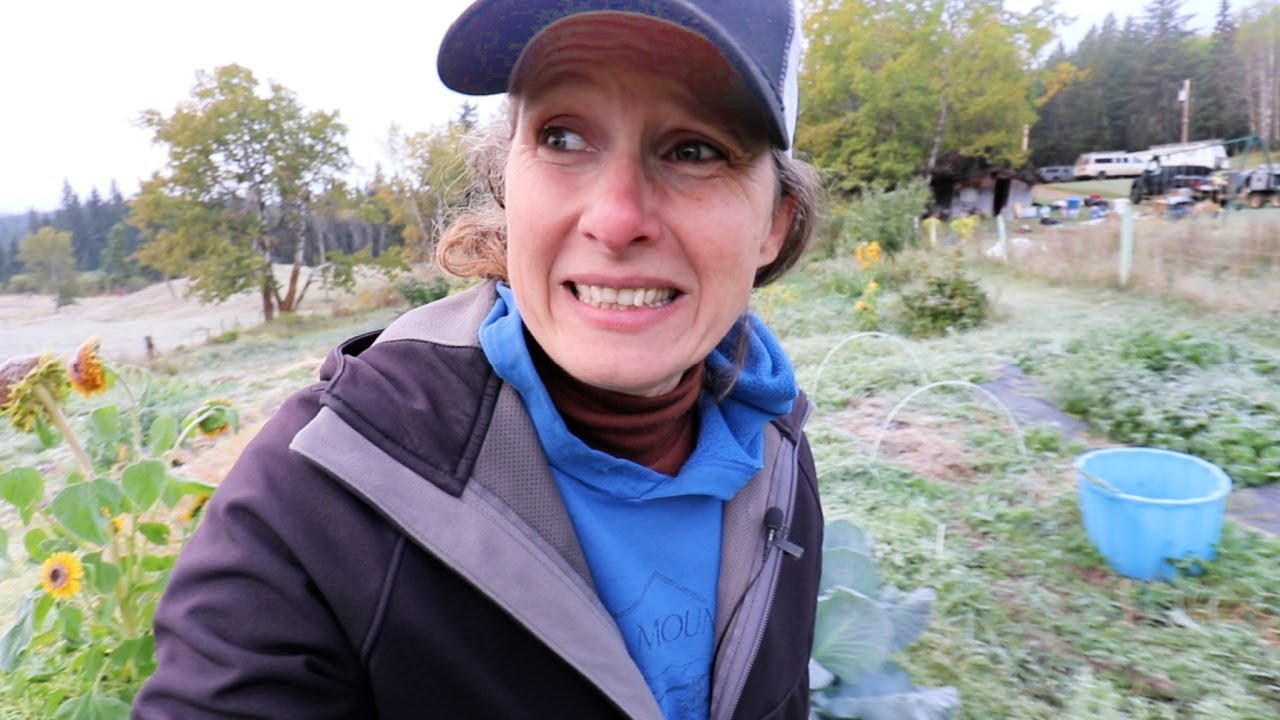 Did I Lose it All? | HUGE Hightunnel Harvest | Piccalilli Relish