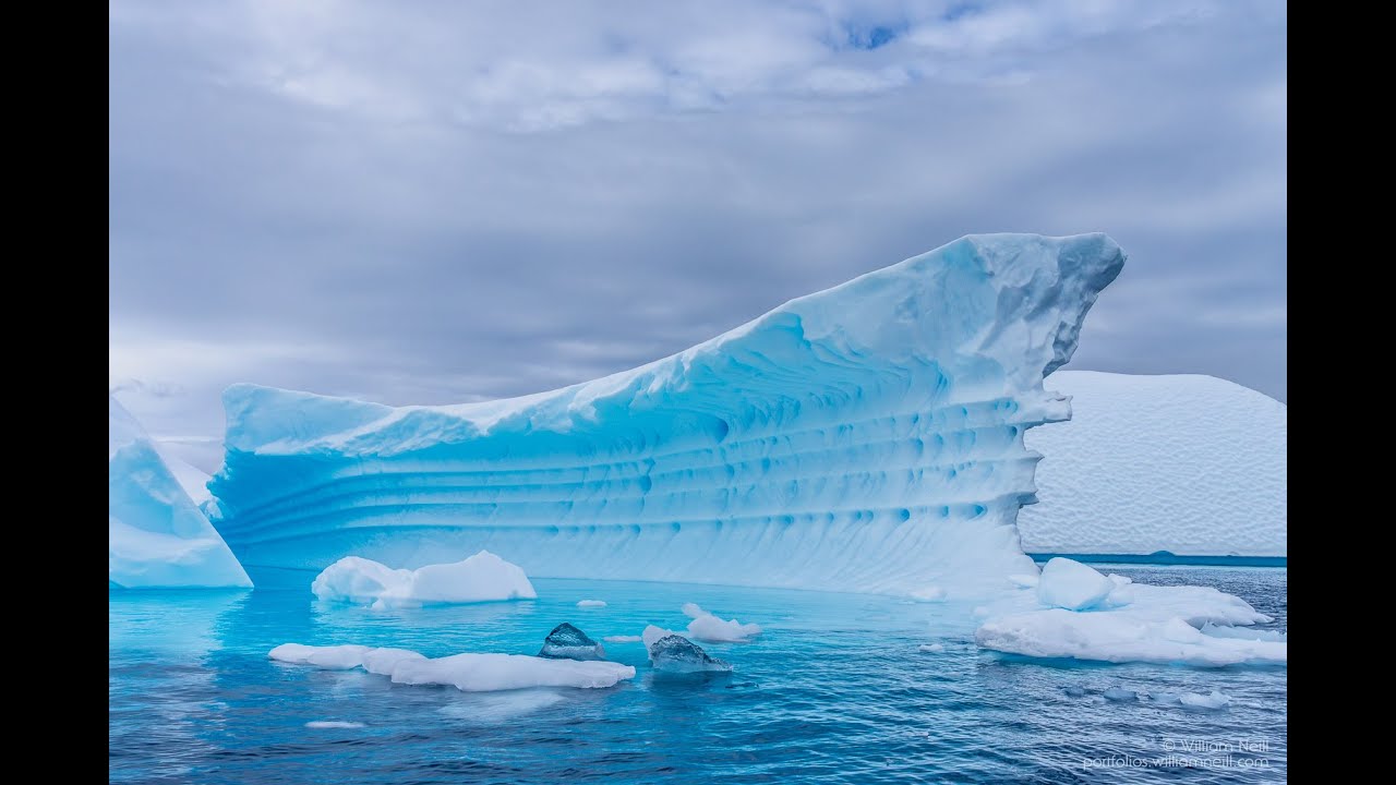 Antarctic Dreams 2025 by William Neill