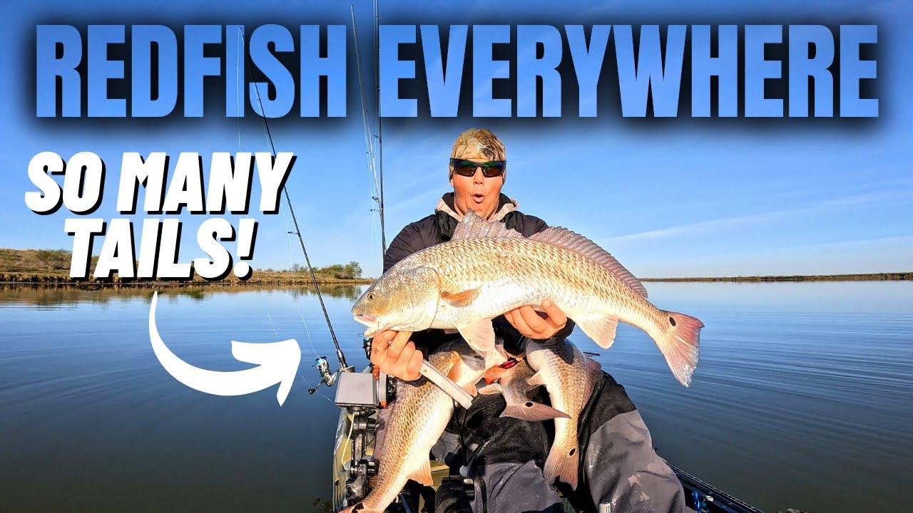 I Found HUNDREDS of Tailing Redfish in Inches of Water!