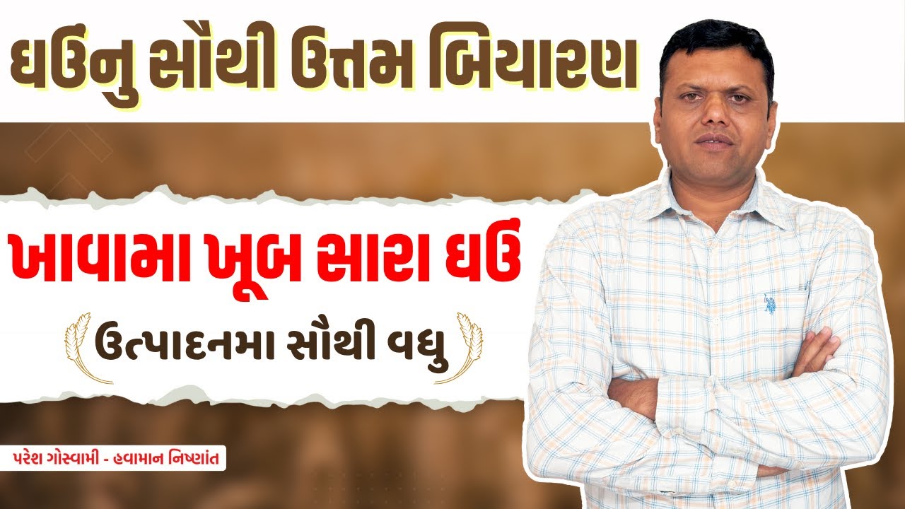 ઘઉંના સારા બિયારણની માહિતી |  information About Good Wheat Seeds Paresh Goswami