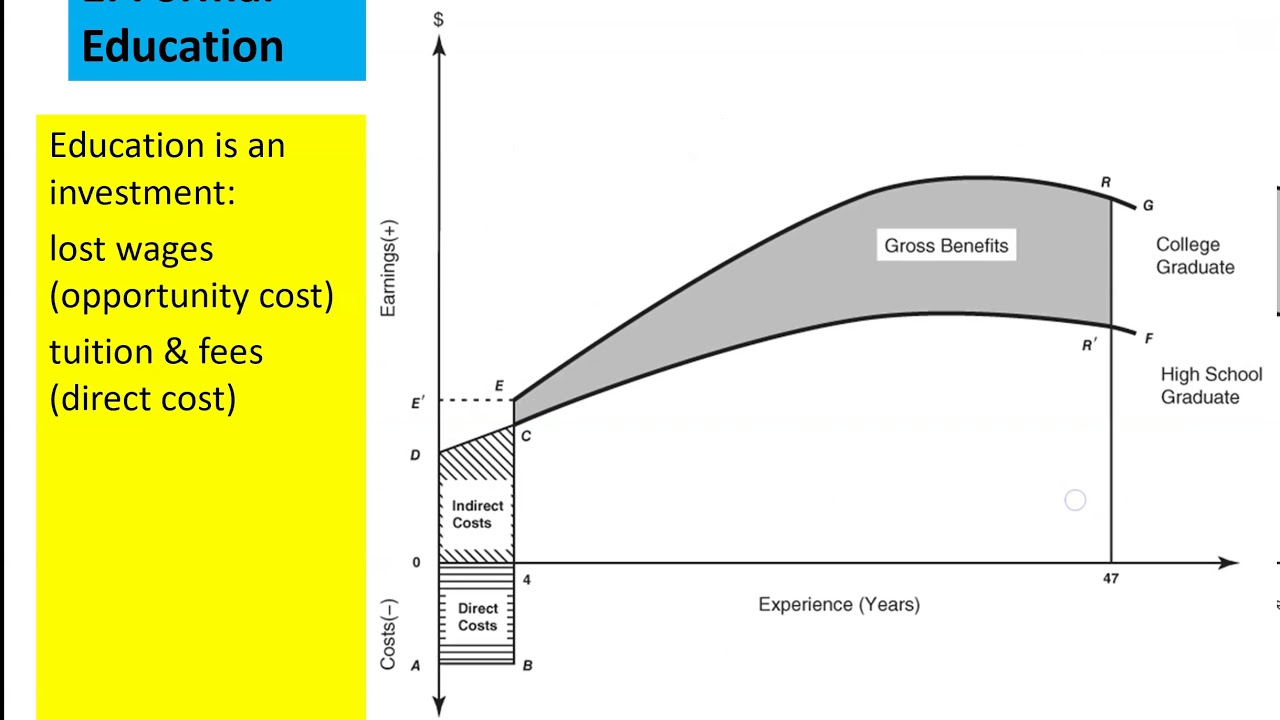 8 7 Human Capital Investment Decision