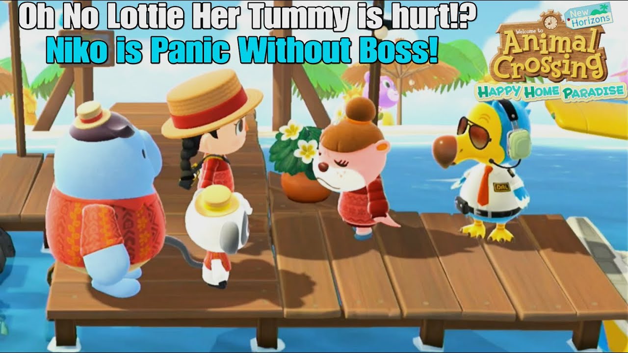 Animal Crossing NH Happy Home Paradise - Lottie Tummy Hurt!? Niko Panic Without Boss! & She is fine!