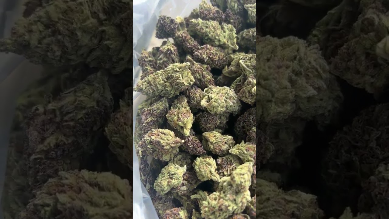 Purple Goo outdoor THCa wholesale