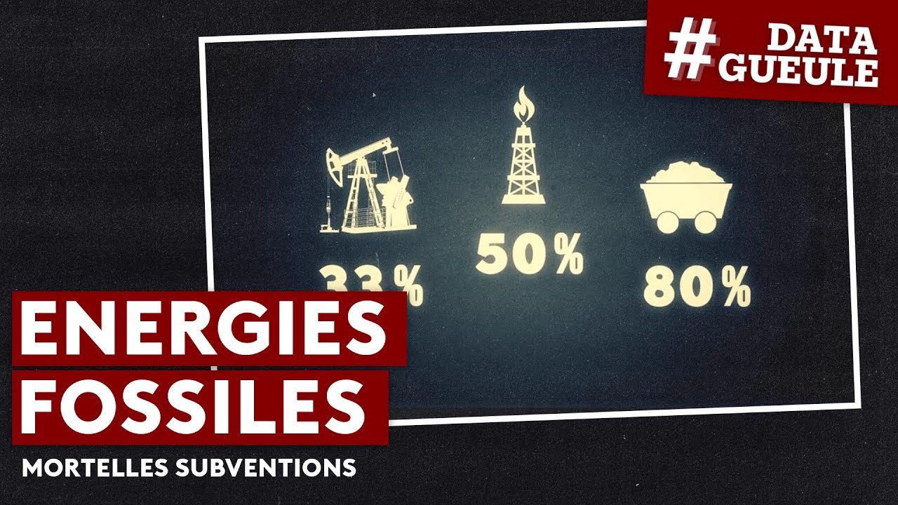 Énergies fossiles : mortelles subventions - #DATAGUEULE 44