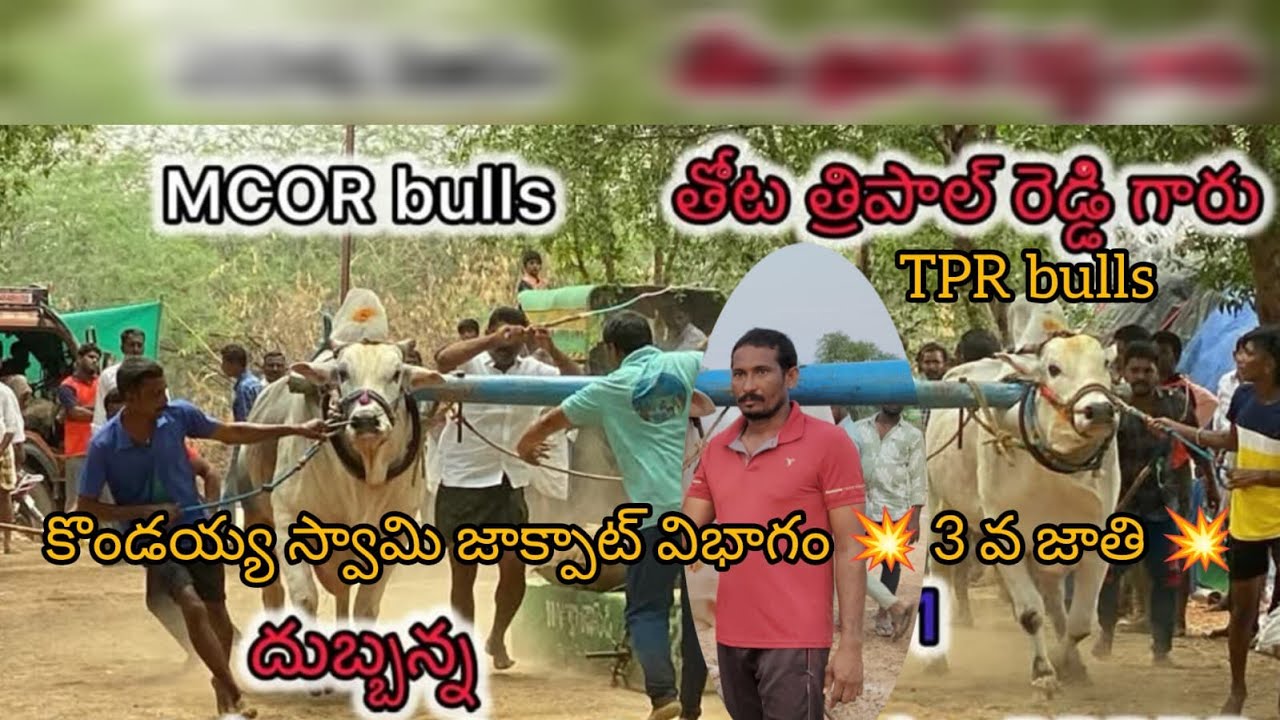 కొండయ్య స్వామి జాక్పాట్ విభాగం💥3వ జత MCOR BULLS AND TPR BULLS