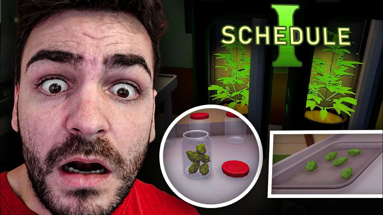 QUISÉ SER EL MEJOR TRAFIC*NTE DE LA CIUDAD Y PASÓ ESTO... | Schedule I