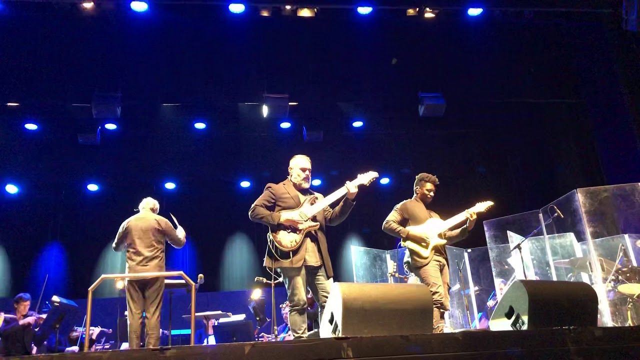 Animals As Leaders Performing Arithmophobia With WSO