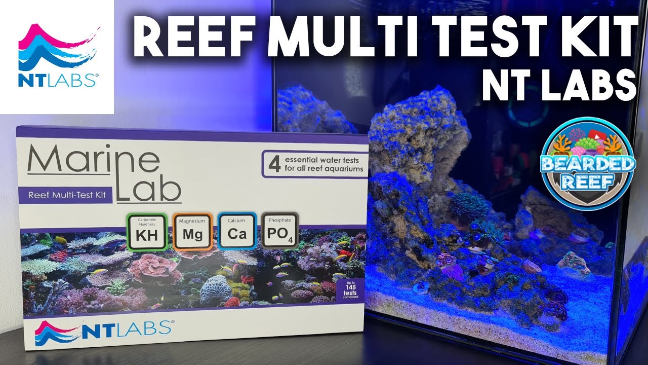 NT Labs Reef Multi Test Kit, Review and how to use, Nano Reef Tank Water Testing (Part 2)