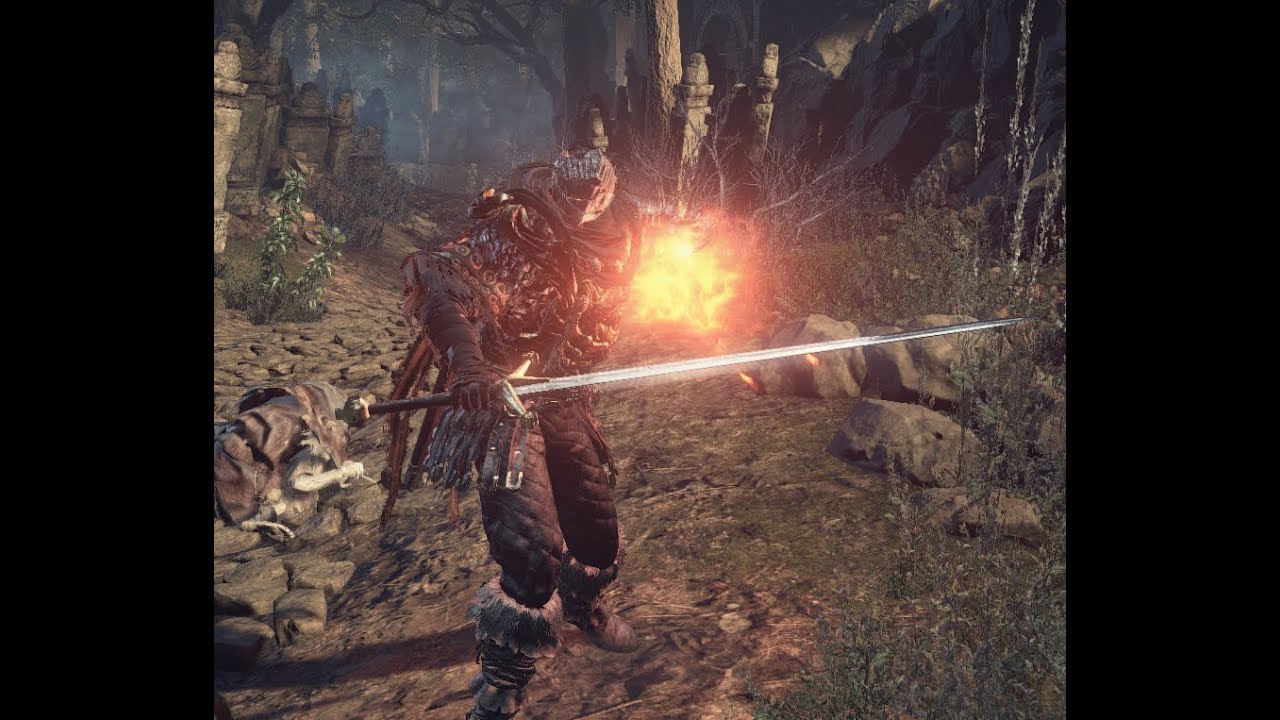 Dark souls 3 - Every enemy affected by Sacred flame