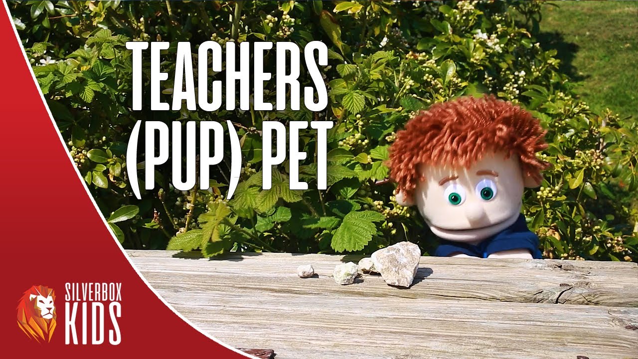 Teachers Pup-pet | Short film | Holiday School | Silverbox Kids