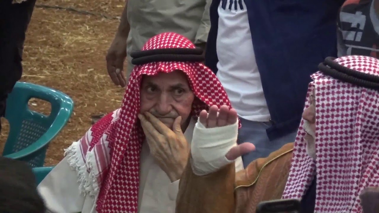 افراح مدينة لحراك افراح آل البوش