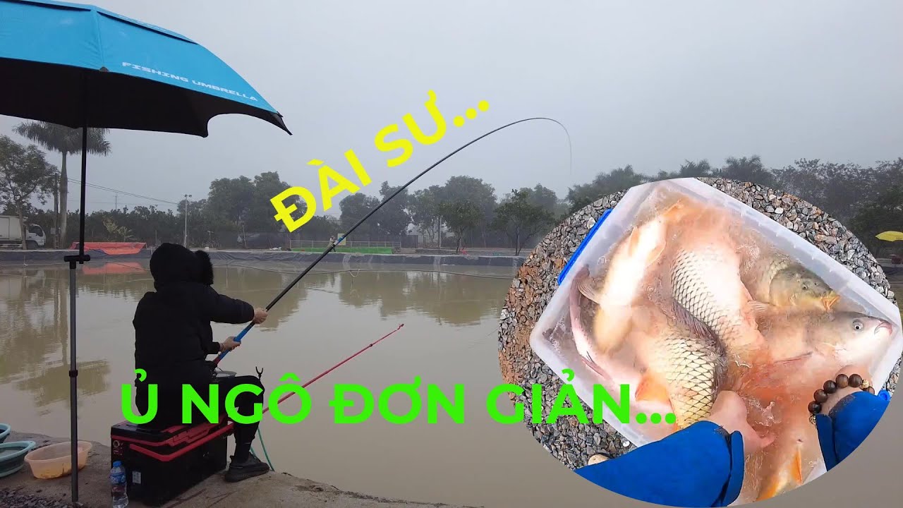 CÂU CÁ CHÉP, CÁ TRẮM CỎ BẰNG MỒI Ủ NGÔ ĐƠN GIẢN - CÂU CÁ NGÀY MƯA LẠNH - PHÚC HÀ FISHING
