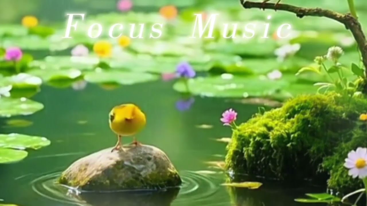 Focus Music: Relaxing piano music for sleep, meditation, spa and yoga.