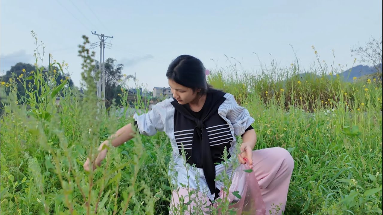 Harvesting Vegetables, Making Rice Cake in Rural VietnamVillage Life,Memories | Episode 1