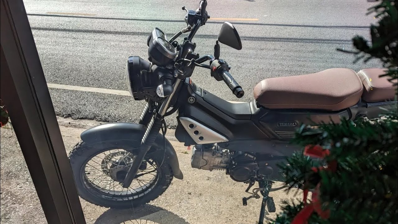 YAMAHA PG-1 Standard  GPS TOPSPEED