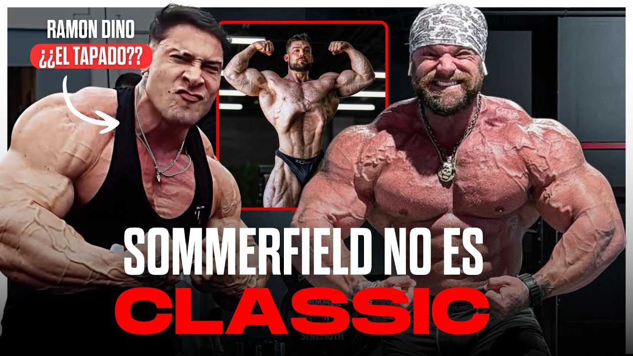 Ramon Dino ¿INFRAVALORADO? - Debate MIKE SOMMERFIELD a 212 y Menegate vs Nial Darwen