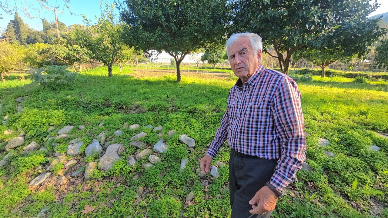 Και Ορχιδέες και μπανάνες και μάνγκο δεν υπάρχει φυτό που να μην καλλιεργούνται στη Σάμο 