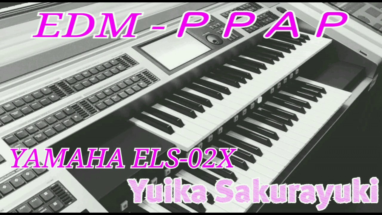 ＰＰＡＰ 《 YAMAHA ELS-02X 》