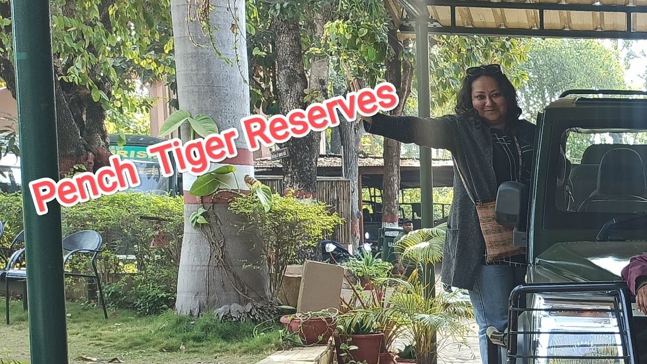Pench Tiger Reserves #kipling's court