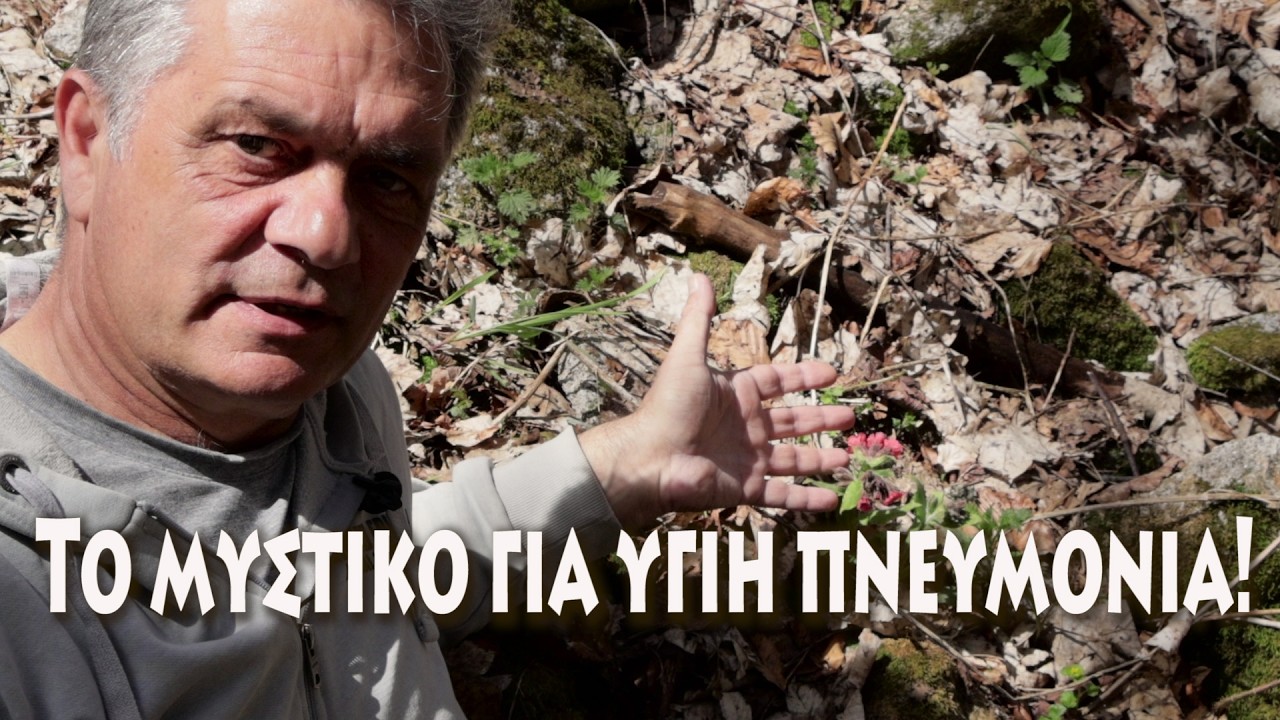 &Pi;&nu;&epsilon;&upsilon;&mu;&omicron;&nu;ό&chi;&omicron;&rho;&tau;&omicron;: &Tau;&omicron; &kappa;&omicron;&rho;&upsilon;&phi;&alpha;ί&omicron; &beta;ό&tau;&alpha;&nu;&omicron; &gamma;&iota;&alpha; &pi;&nu;&epsilon;&upsilon;&mu;ό&nu;&iota;&alpha; & &alpha;&nu;&alpha;&pi;&nu;&omicron;ή!