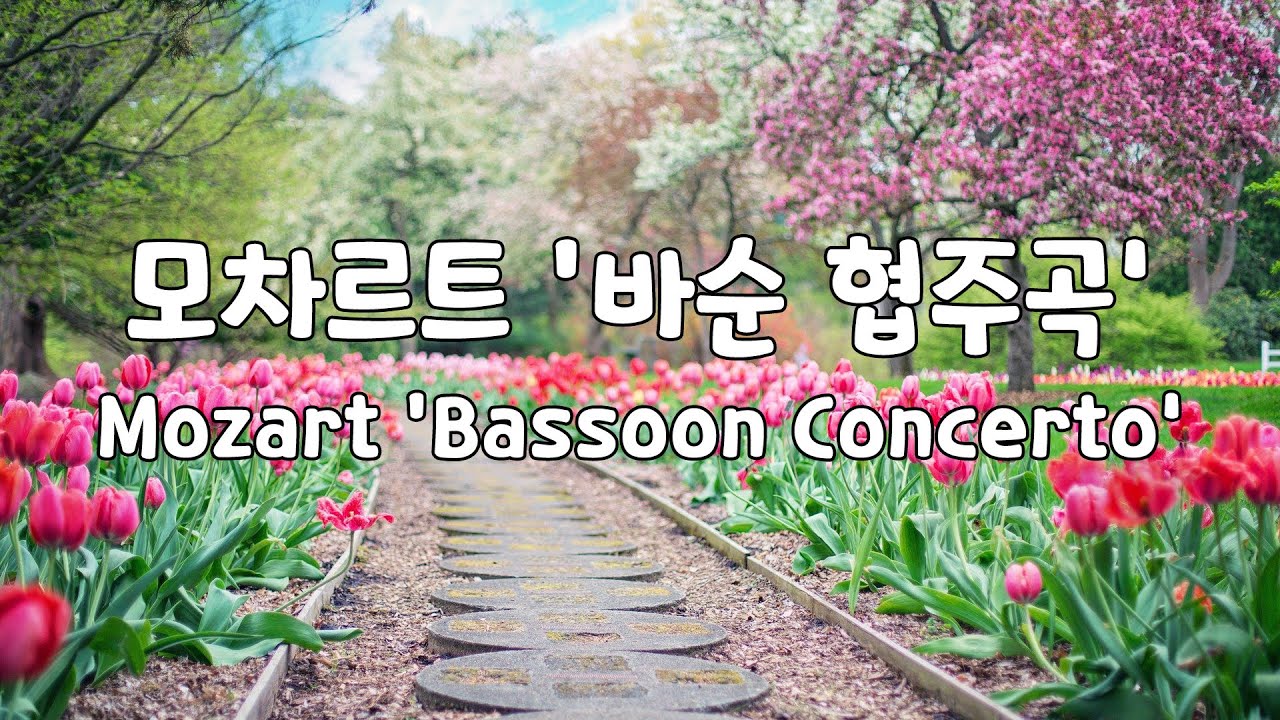 [일간클래식]  모차르트 '바순협주곡' (1시간듣기) ♬ Mozart  'Bassoon Concerto' (1Hour Repeat)
