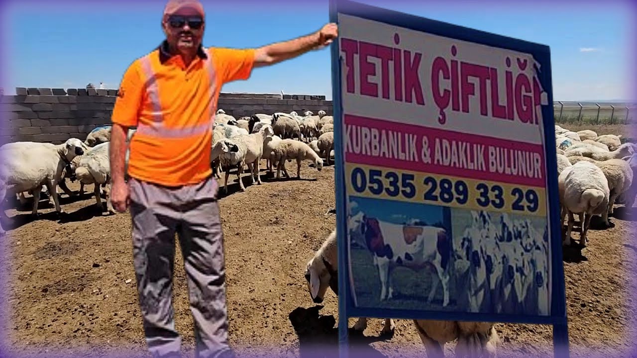 MURAT TETİK ÇİFTLİĞİ (4K ULTRA HD VİDEO)