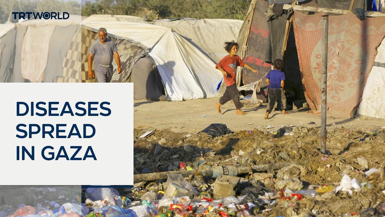 Diseases spread in Gaza amid water and sewage crisis